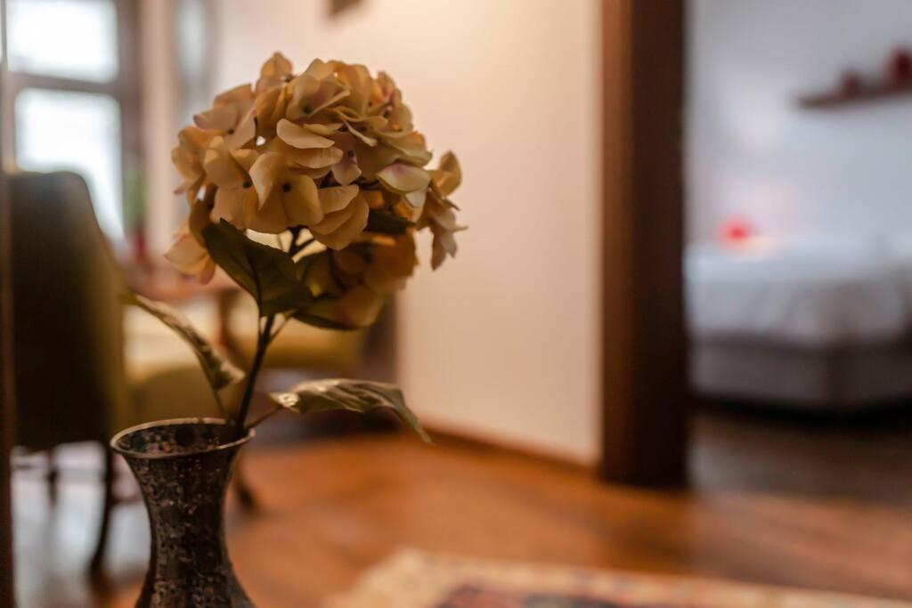 Apartment Historical Greco-ottoman Pavilion Near Tram In Fatih *